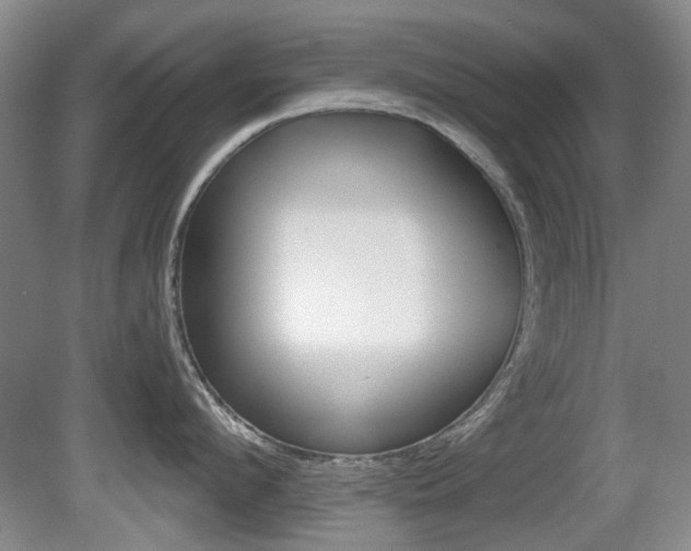 X0000081560912200701150956