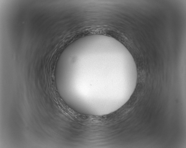 X0000081560913200701150955
