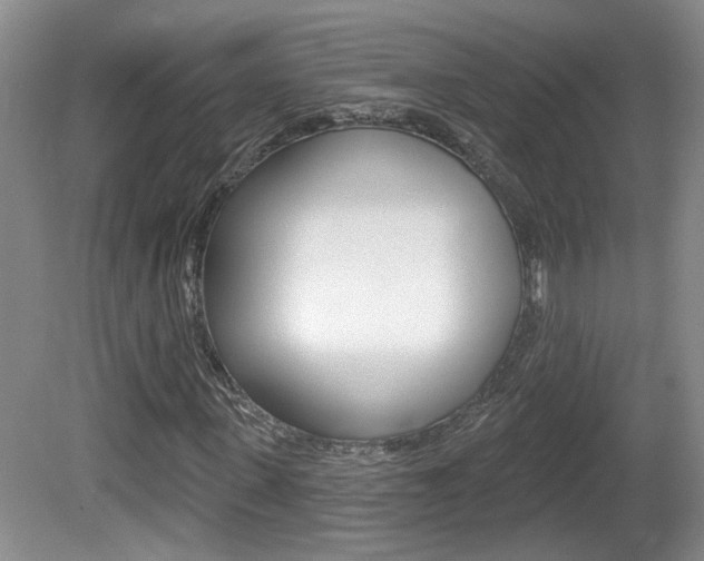 X0000081560915200701150955