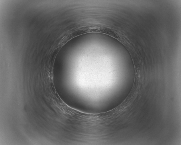 X0000081560916200701150955