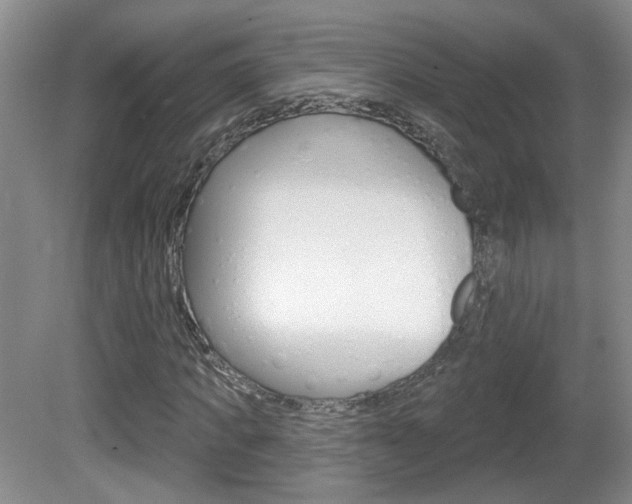 X0000081560917200701150955
