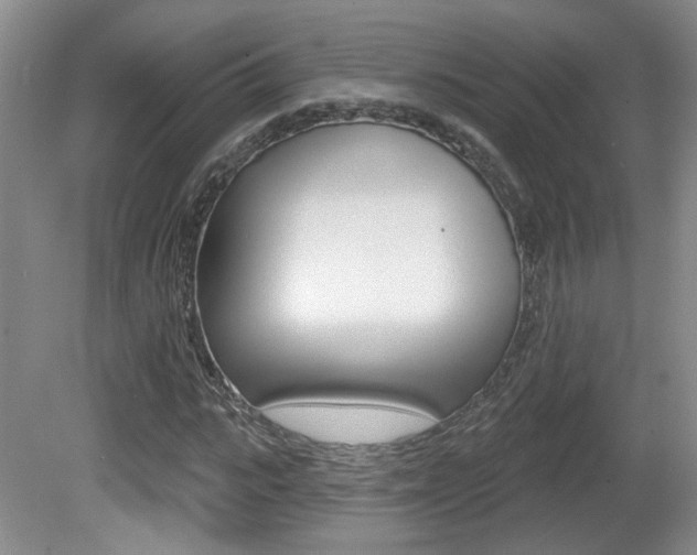X0000081560919200701150955