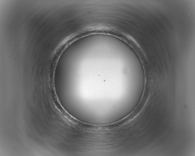 X0000081560922200701150956