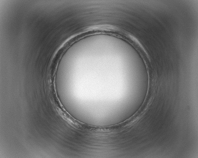 X0000081560923200701150956