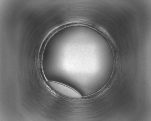 X0000081560924200701150956
