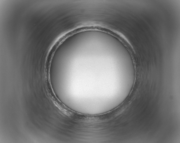 X0000081560927200701150956