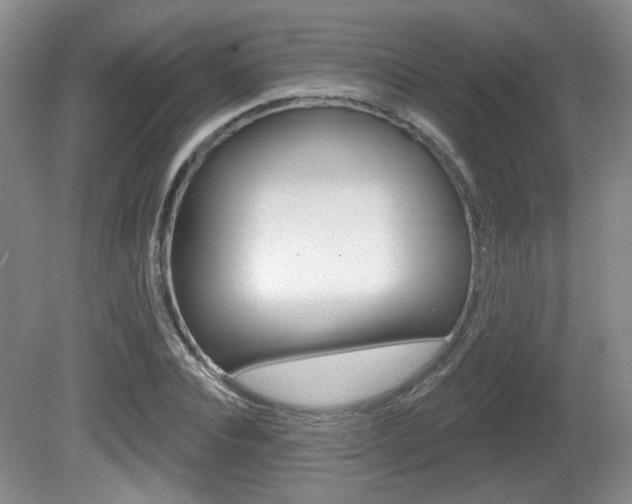 X0000081560928200701150956
