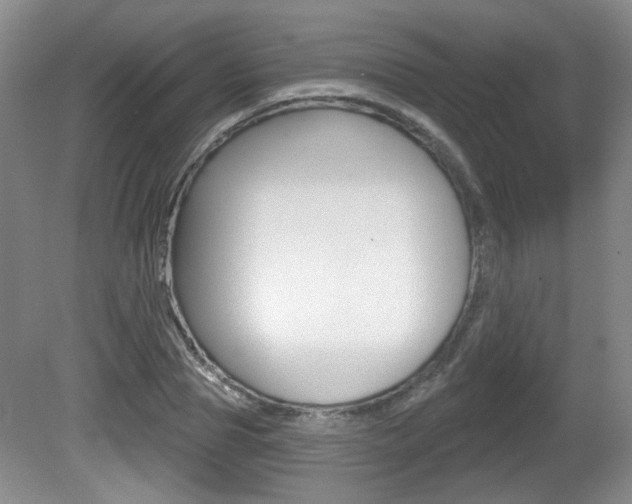 X0000081560929200701150956
