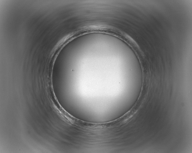 X0000081560930200701150956