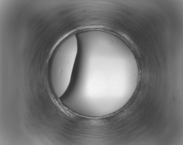 X0000081560933200701150956