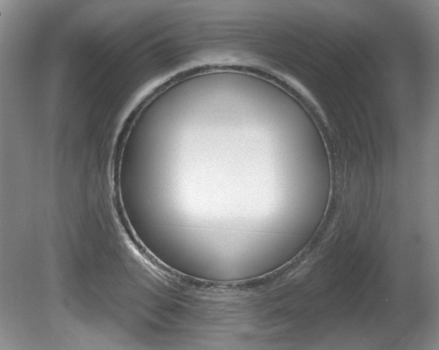 X0000081560935200701150956