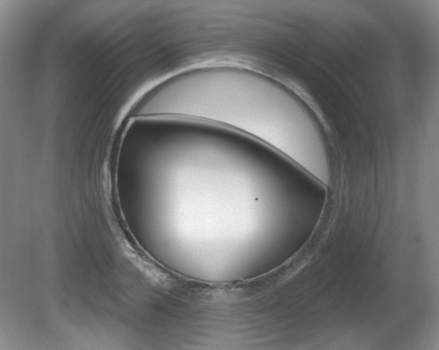 X0000081560936200701150956