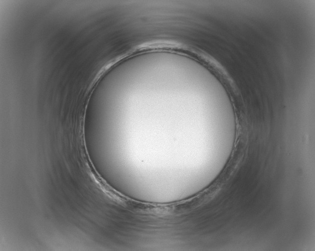X0000081560937200701150956