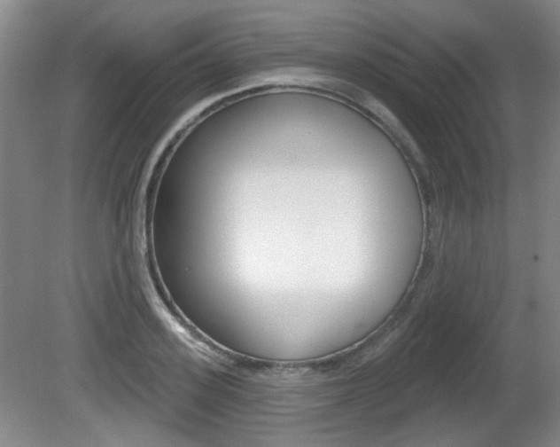 X0000081560939200701150956