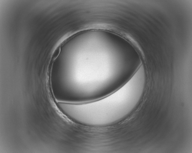 X0000081560944200701150956