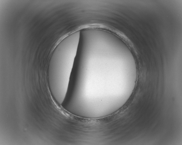 X0000081560945200701150956