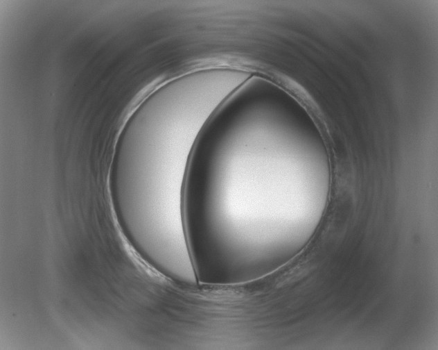 X0000081560946200701150956