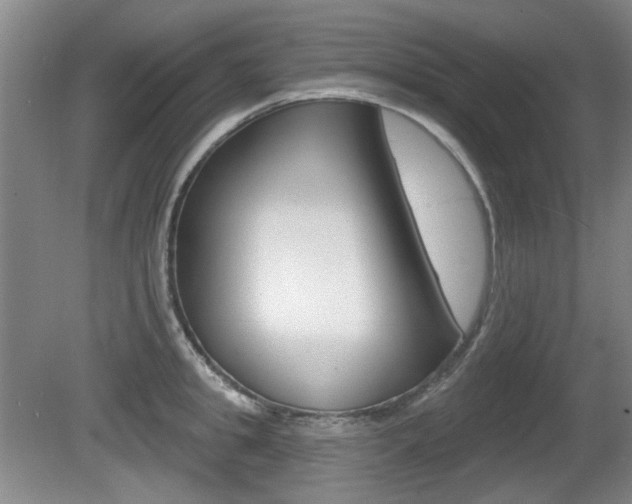 X0000081560949200701150956