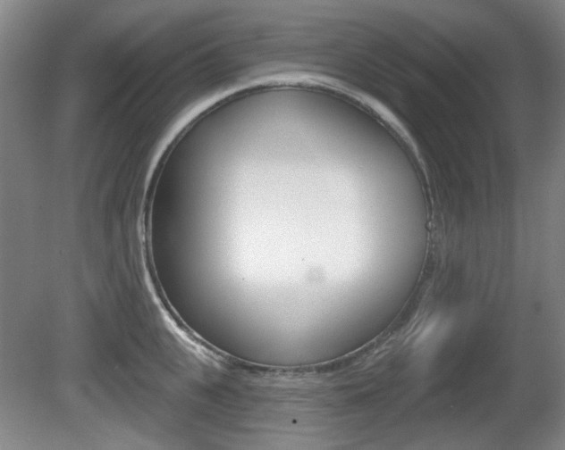 X0000081560951200701150956