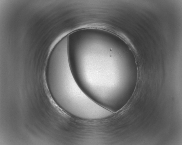 X0000081560952200701150956