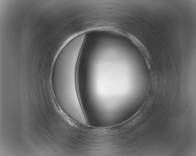 X0000081560956200701150956