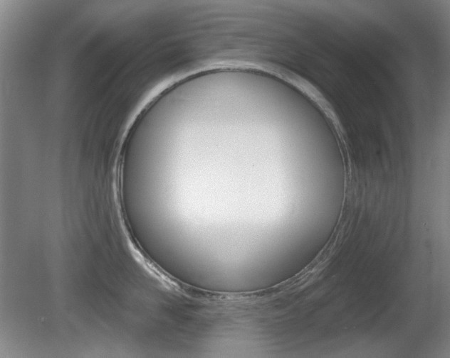 X0000081560958200701150956