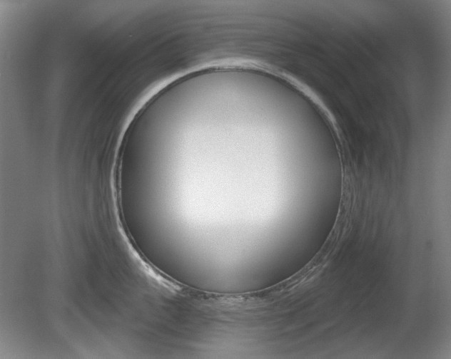 X0000081560959200701150956