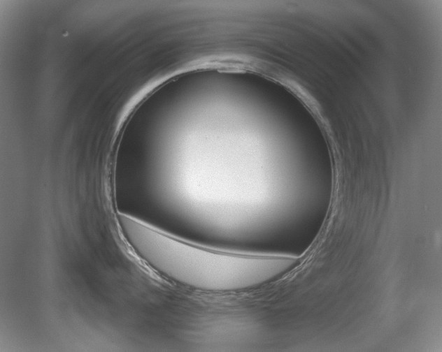 X0000081560960200701150956