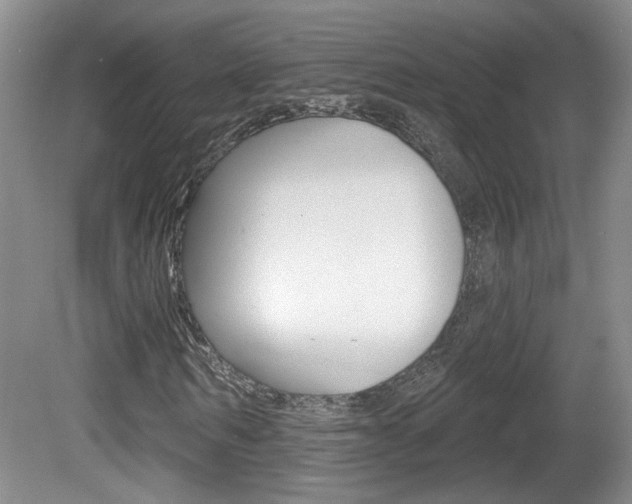 X0000081560962200701150955