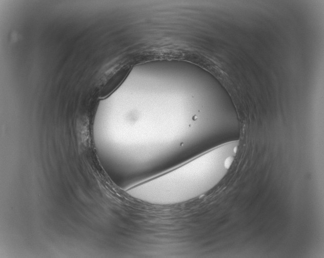 X0000081560963200701150955