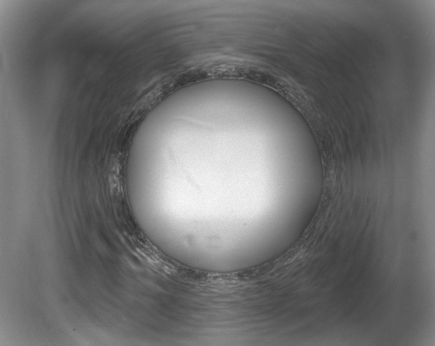 X0000081560964200701150955