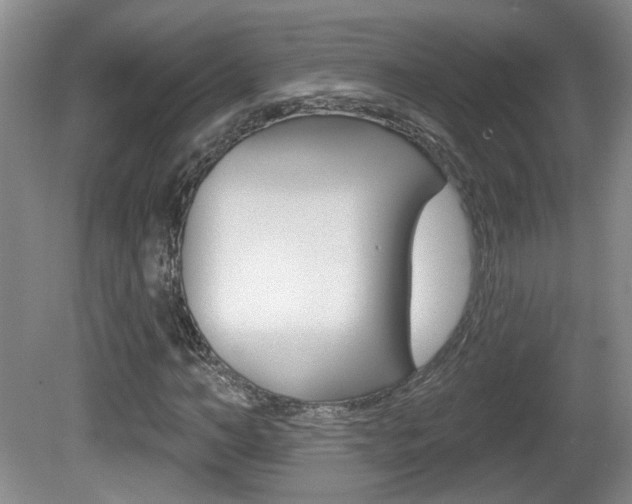 X0000081560966200701150955