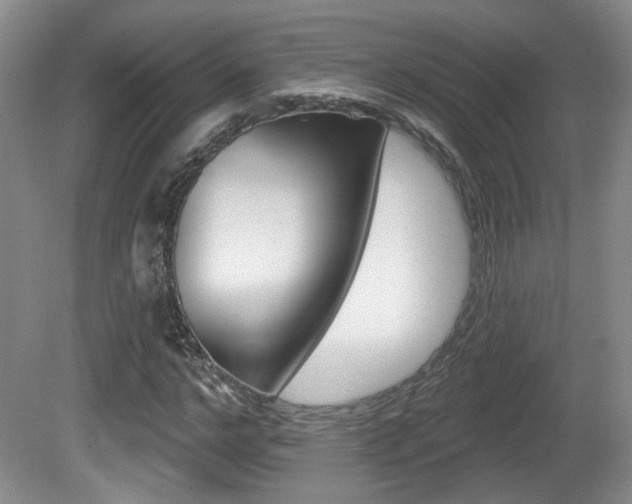 X0000081560968200701150955