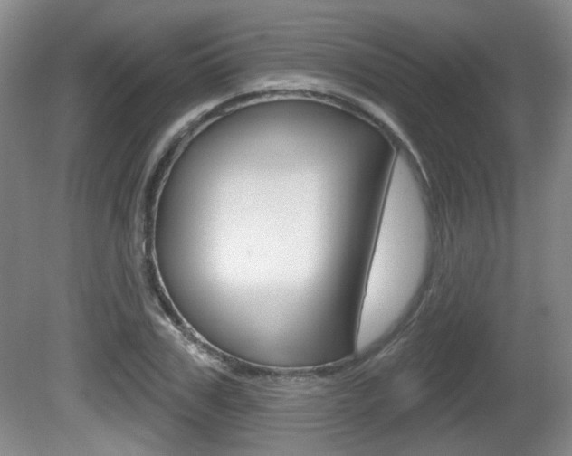 X0000081560979200701150955