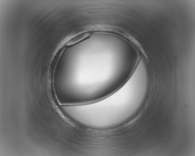 X0000081560981200701150955