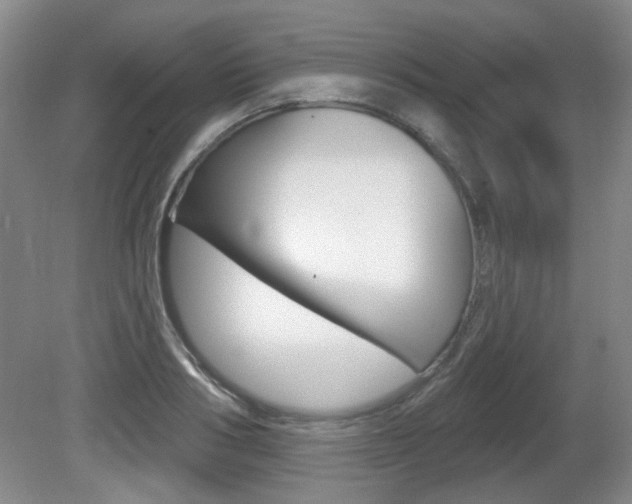 X0000081560986200701150955
