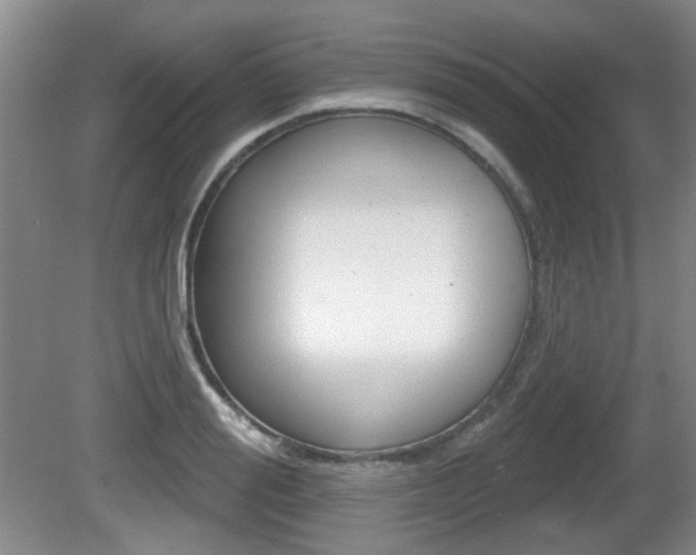 X0000081560988200701150955