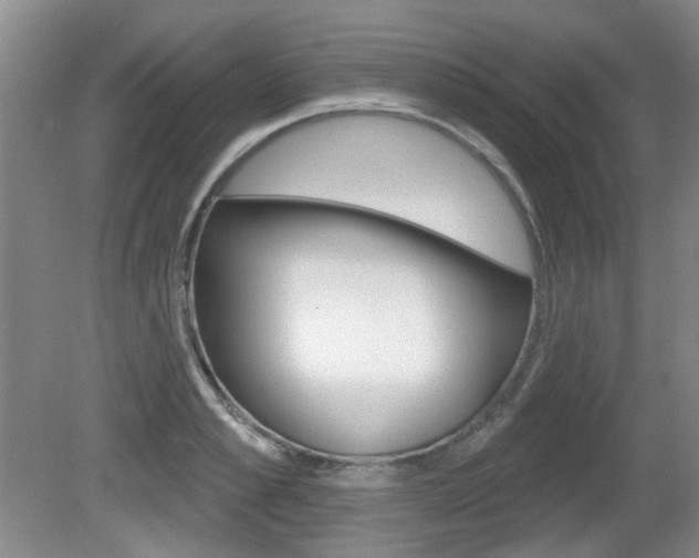 X0000081560989200701150955