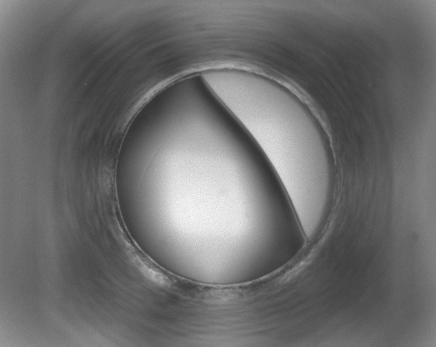 X0000081560993200701150955