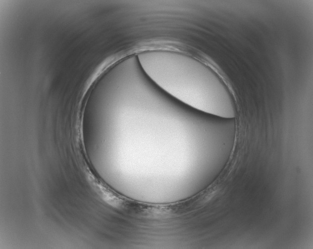 X0000081560994200701150955