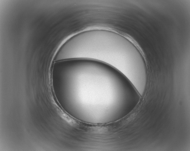 X0000081560996200701150955