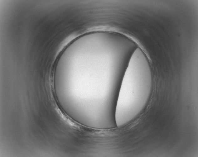 X0000081560998200701150955
