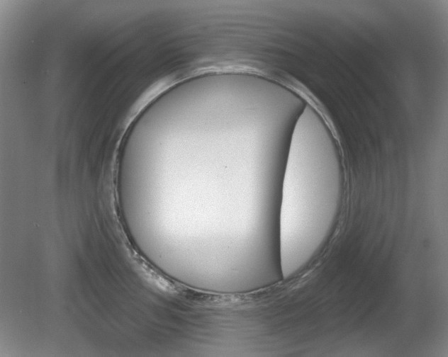 X0000081561002200701150955
