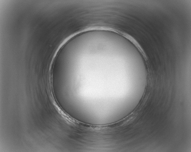 X0000081561004200701150955
