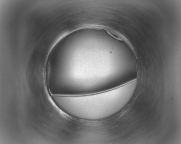 X0000081561007200701150955