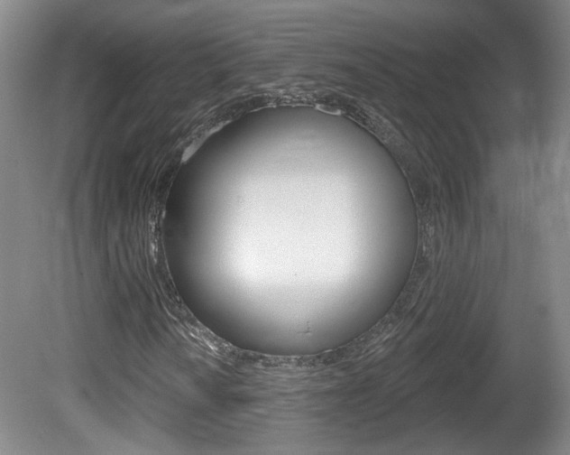 X0000081561010200701150954