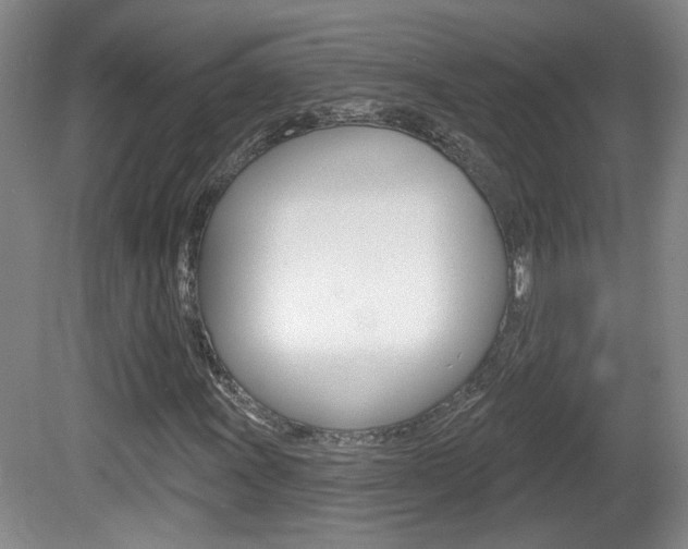X0000081561011200701150954