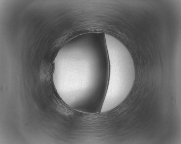 X0000081561012200701150954
