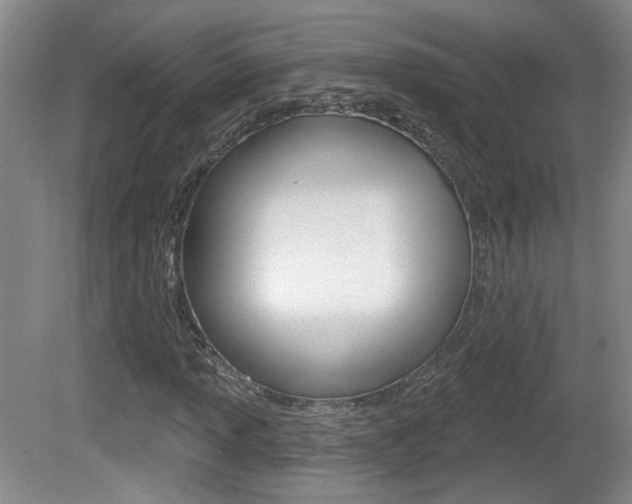 X0000081561013200701150954