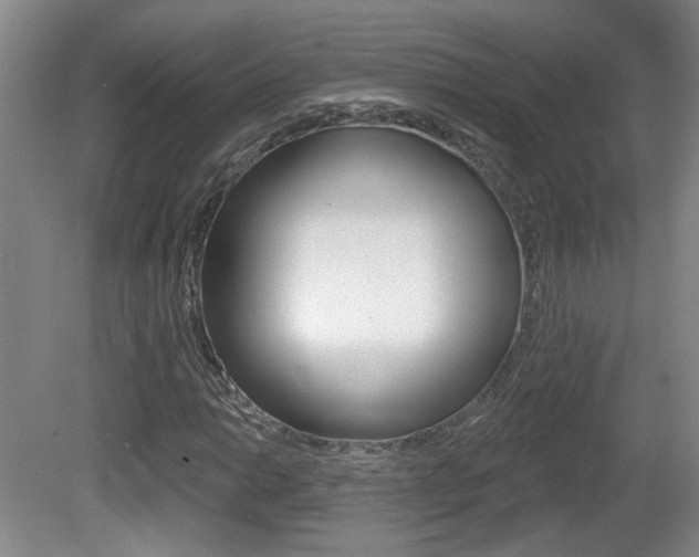 X0000081561014200701150954